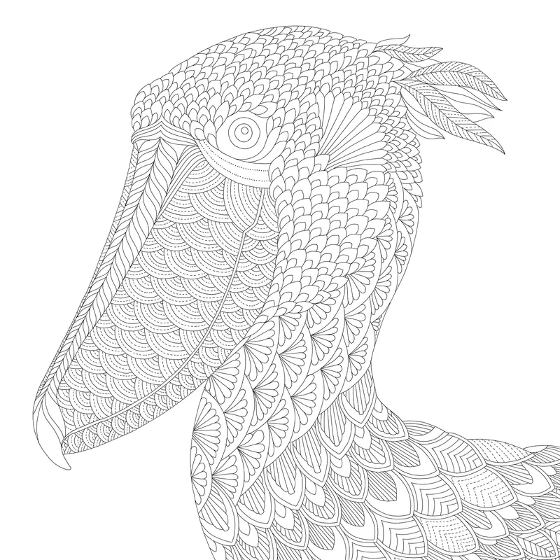 Batsford Book - Millie Marottas Curious Creatures - A Colouring Book Adventure