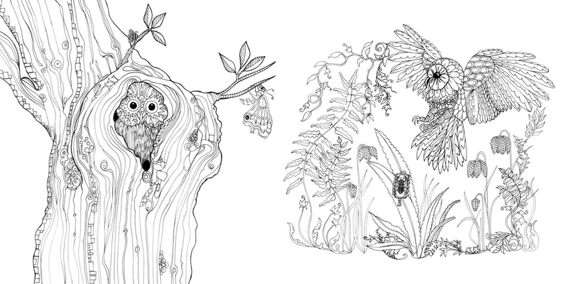 Search Press Books - Tangle Wood Colouring Book - Large Format