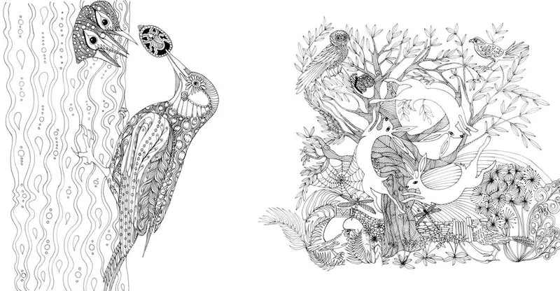 Search Press Books - Tangle Wood Colouring Book - Large Format