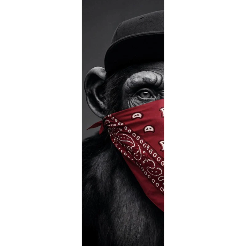 Acrylglasbild Affenporträt mit Bandana Panorama Hoch