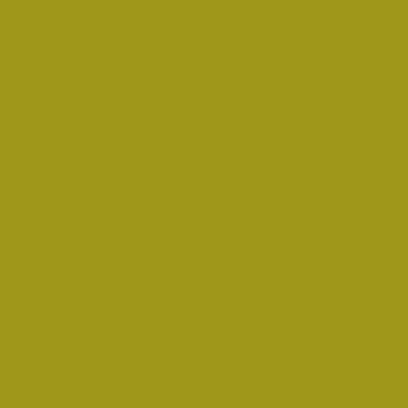 Winsor & Newton - ProMarker - Herb Green Y524
