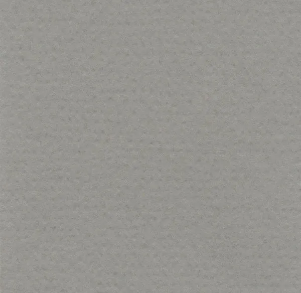 Hahnemuhle - Pastel Paper - Lanacolours - 50x65cm - Cool Grey