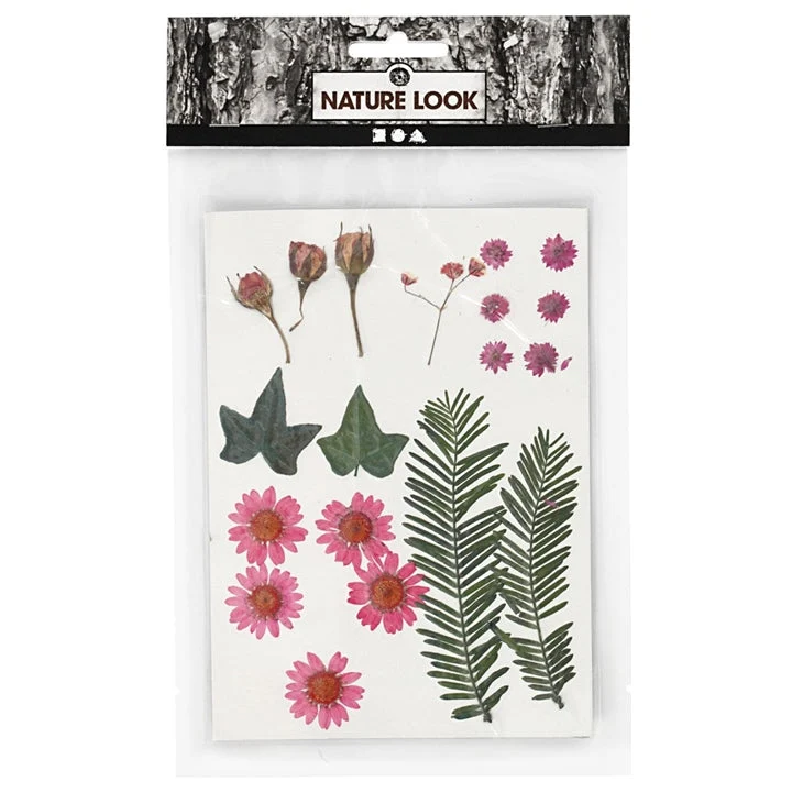 Pressed Flowers and Leaves