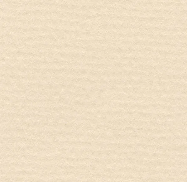 Hahnemuhle - Pastel Paper - Lanacolours - 50x65cm - Ivory