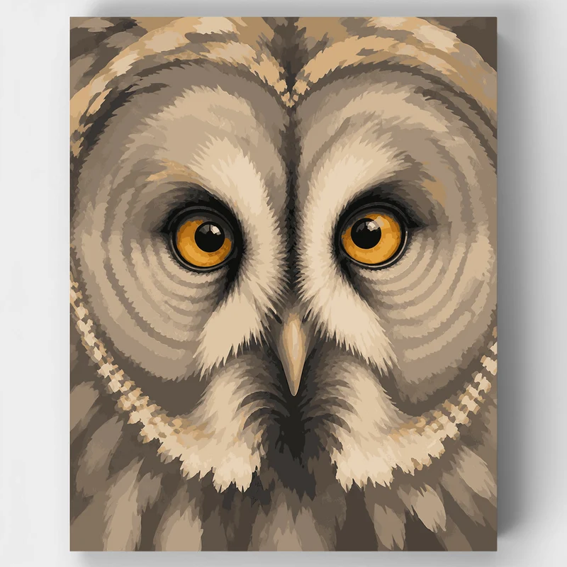 Amber-Eyed Owl Gaze - Paint by Numbers Kit