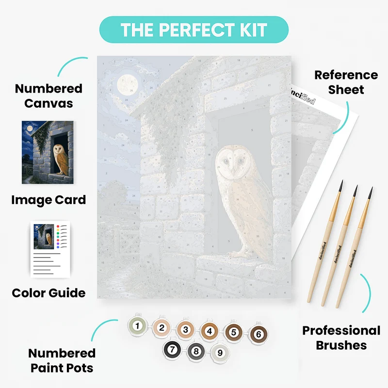 Barn Owl Moonlit Doorway - Paint by Numbers Kit