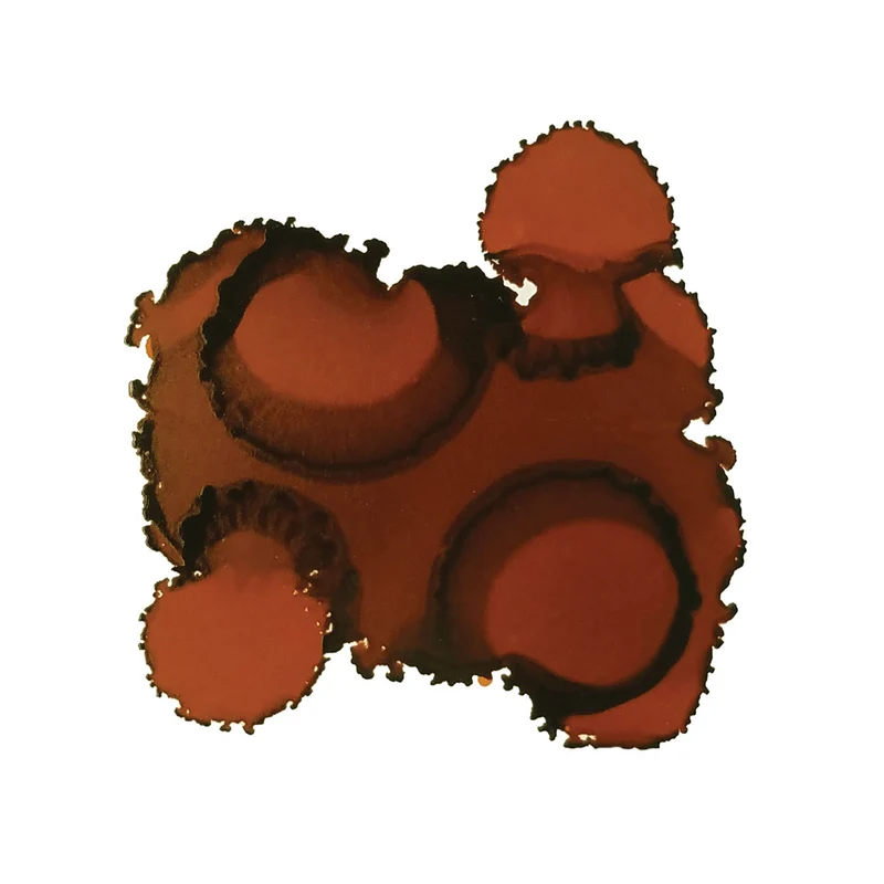 Jacquard - Pinata Alcohol Inks 1-2oz 15ml - Burro Brown 025
