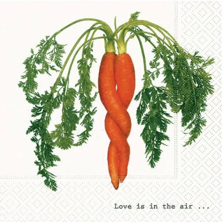 Intertwined Carrot Decoupage Napkins - 1 pc