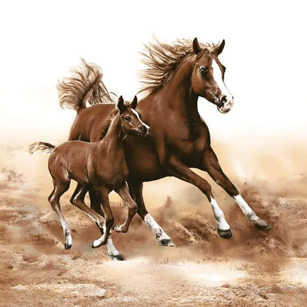 Decoupage Napkins Horses - 1 pc