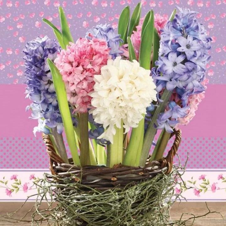 Decoupage Napkins Hyacinths in a Basket - 1 pc