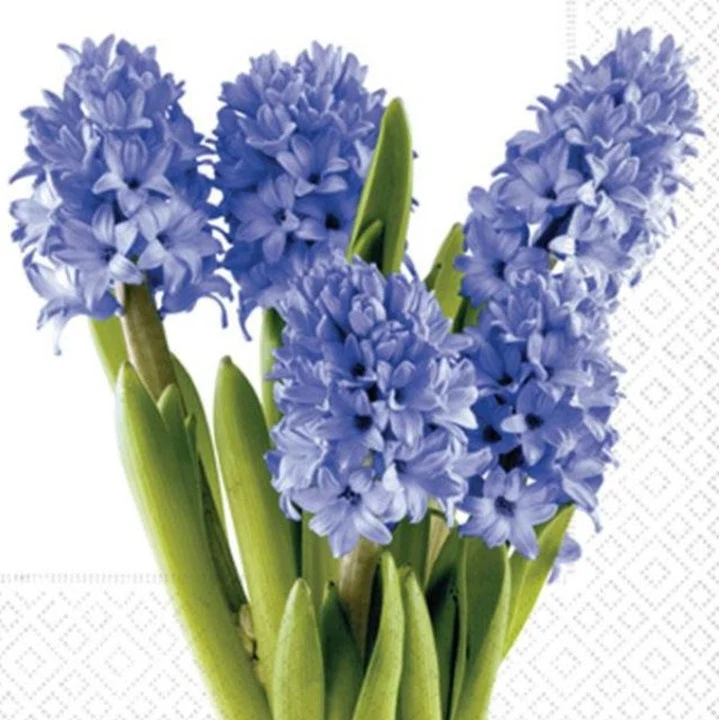 Decoupage Napkins Hyacinths - 1 pc