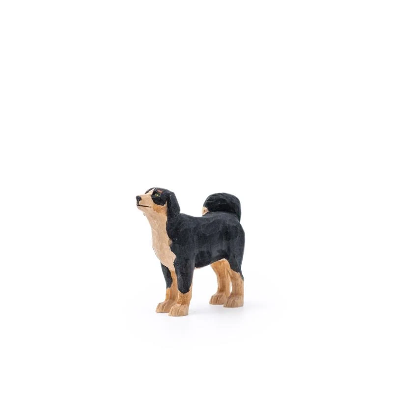 Appenzeller Sennenhund