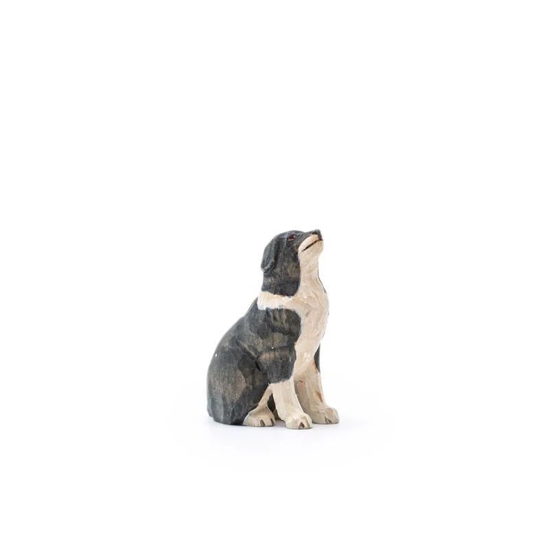 Hirtenhund