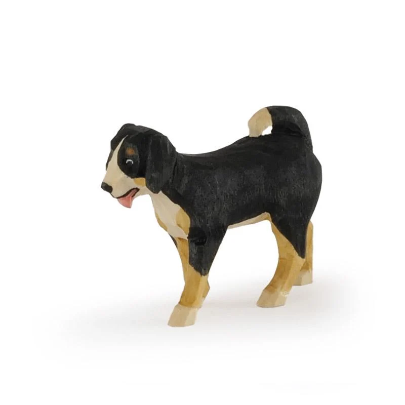 Appenzeller Sennenhund klein
