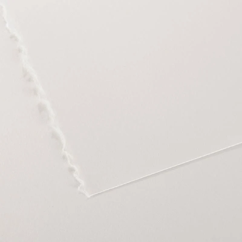 Canson Edition Mixed Media Paper 250gsm (10 sheets)