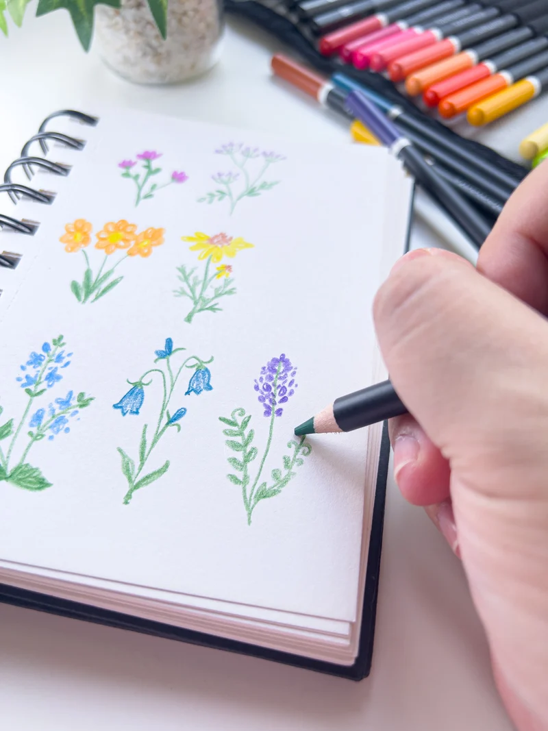 Elements - 48 Piece Pencil wrap set