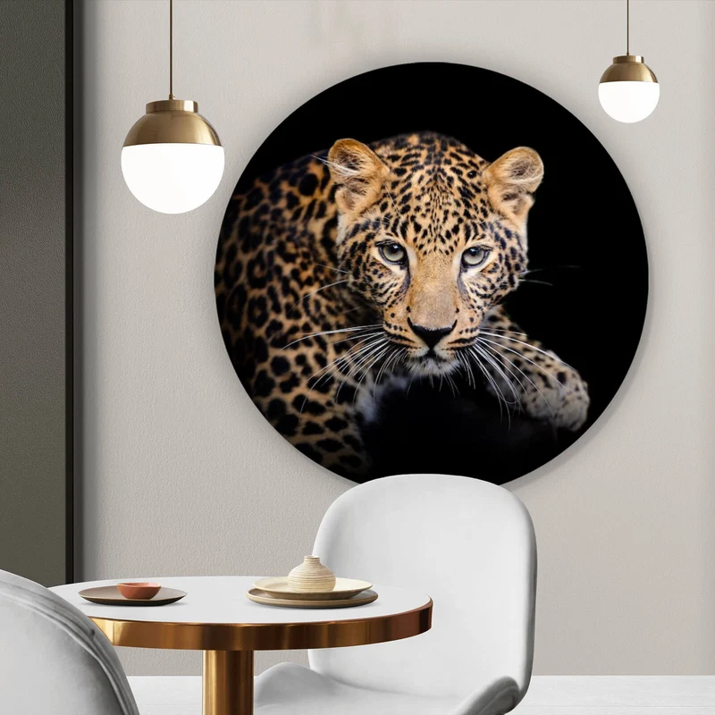 Aluminiumbild Leopard auf schwarzem Hintergrund Kreis