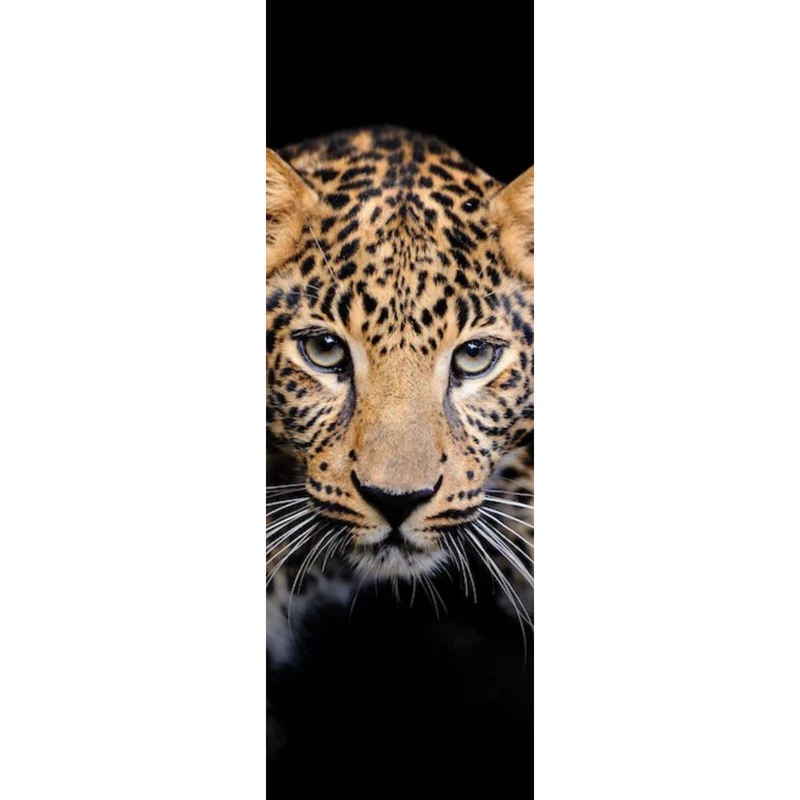Spannrahmenbild Leopard auf schwarzem Hintergrund Panorama Hoch