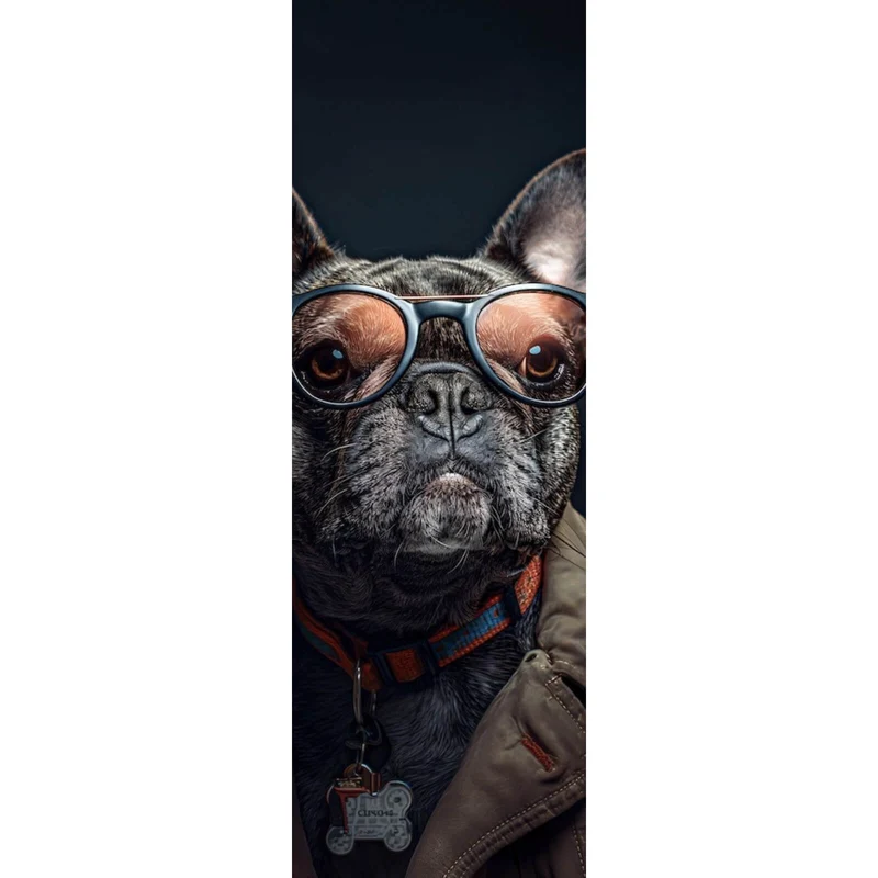 Aluminiumbild Coole Bulldogge mit Brille und Jacke Panorama Hoch