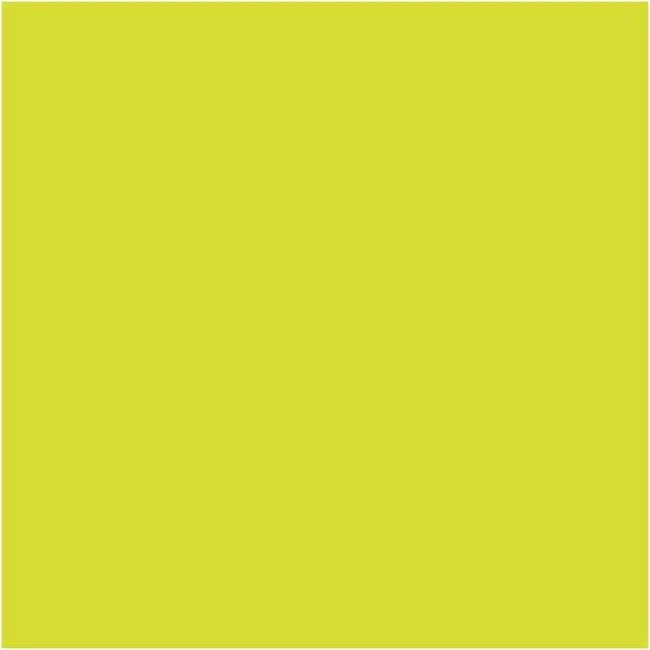 Pentart Glow-in-the-Dark Contour Paint 20 ml