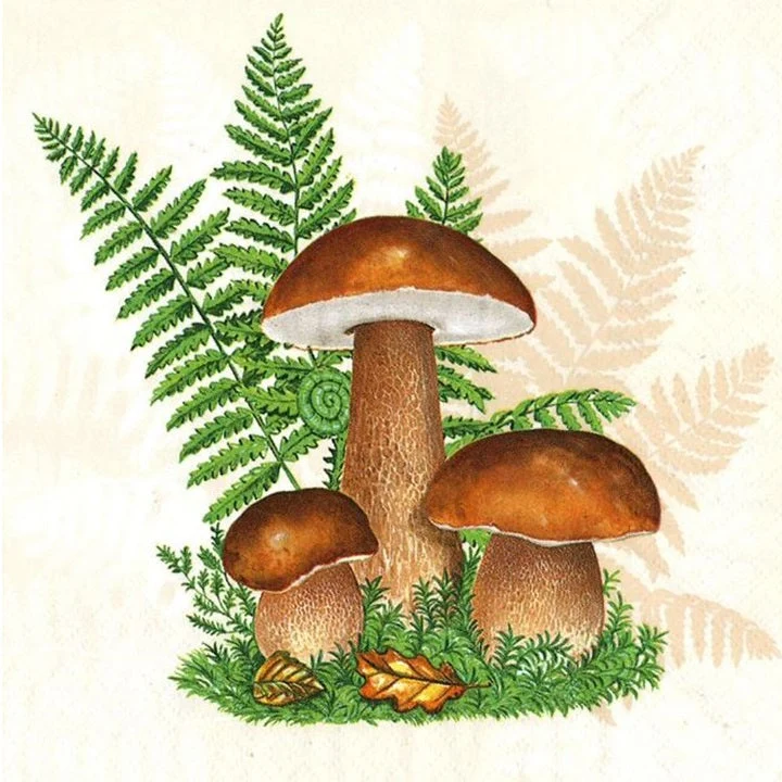 Boletus with Fern Leaves Decoupage Napkin - 1 pc