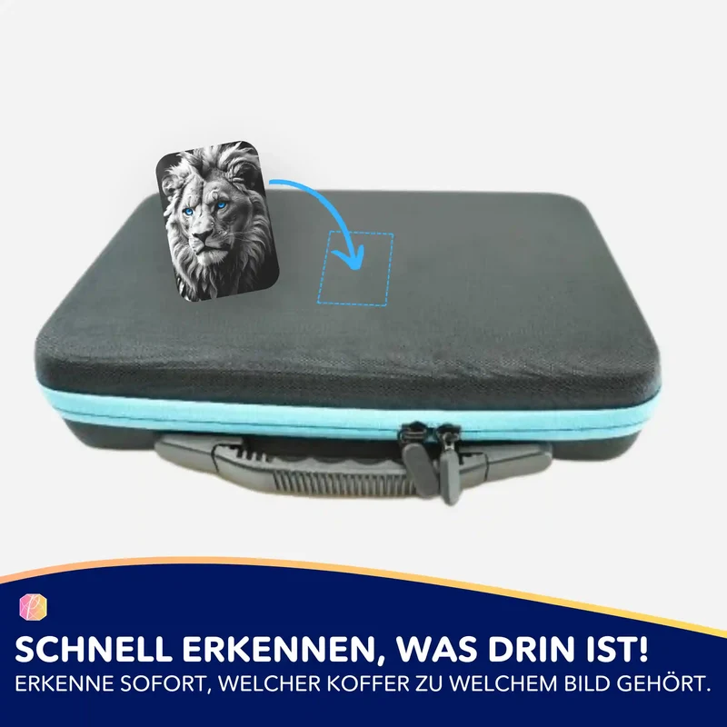 Aufkleber 5er-Set - Leo Löwe