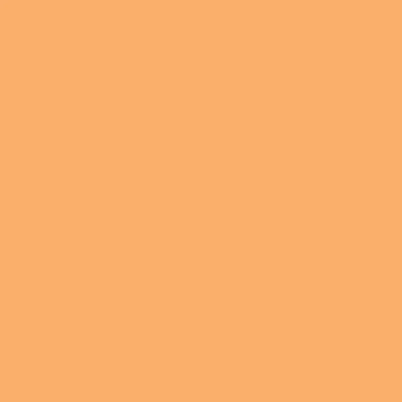 Winsor & Newton - Promarker Brush - Apricot - BrushMarker