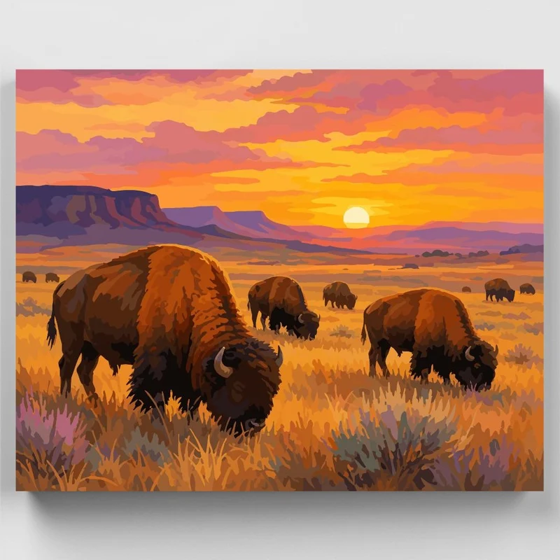 Bison at Golden Sunset - Paint by Numbers Kit