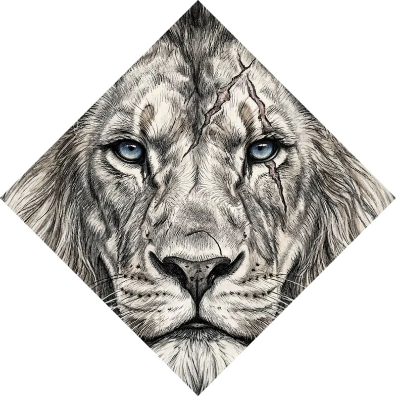 Acrylglasbild Majestätischer Löwe Stay Hungry Raute