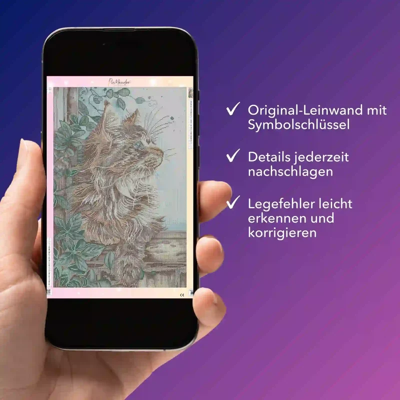 Digitale Bildmappe - Susen Pfifferling - Kater Cosimo