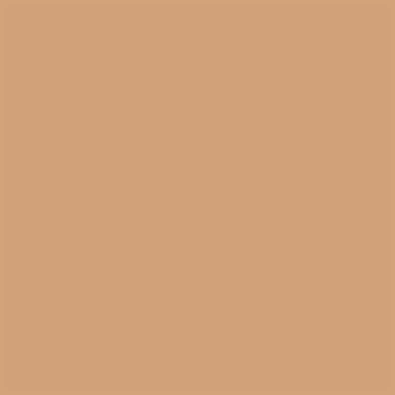 Winsor & Newton - Promarker Brush - Cinnamon - BrushMarker