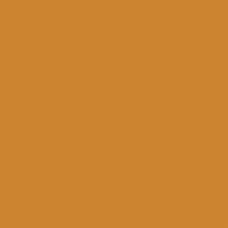 Winsor & Newton - ProMarker - Raw Sienna- O646