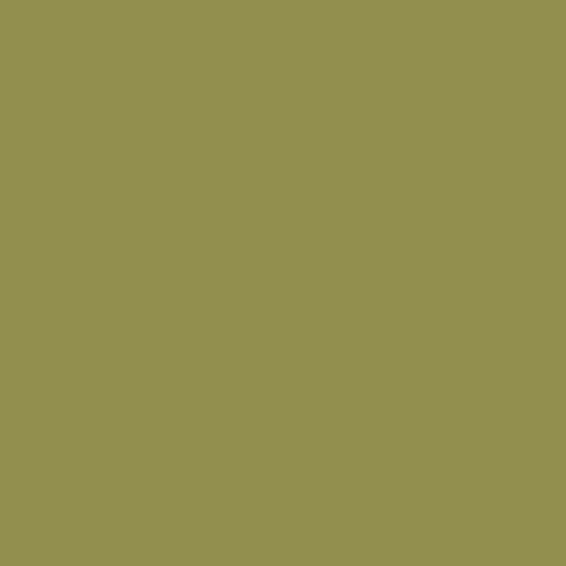 Winsor & Newton - ProMarker - Olive Green Y724