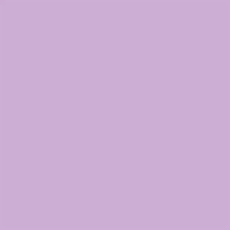 Winsor & Newton - ProMarker - Orchid V528