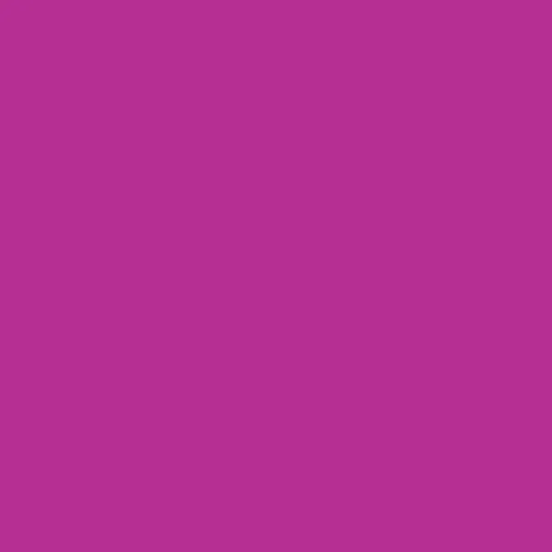 Winsor & Newton - ProMarker - Mulberry- V865