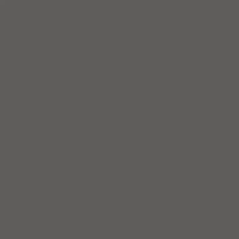 Winsor & Newton - Promarker Brush - Cool Grey 5 - BrushMarker