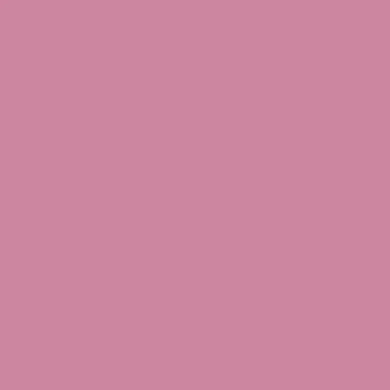 Winsor & Newton - ProMarker - Dusky Rose R327