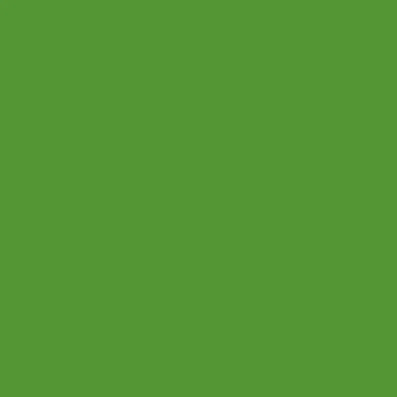 Winsor & Newton - ProMarker - Forest Green- G356
