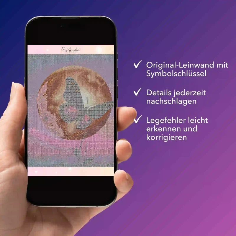 Digitale Bildmappe - Nightfly