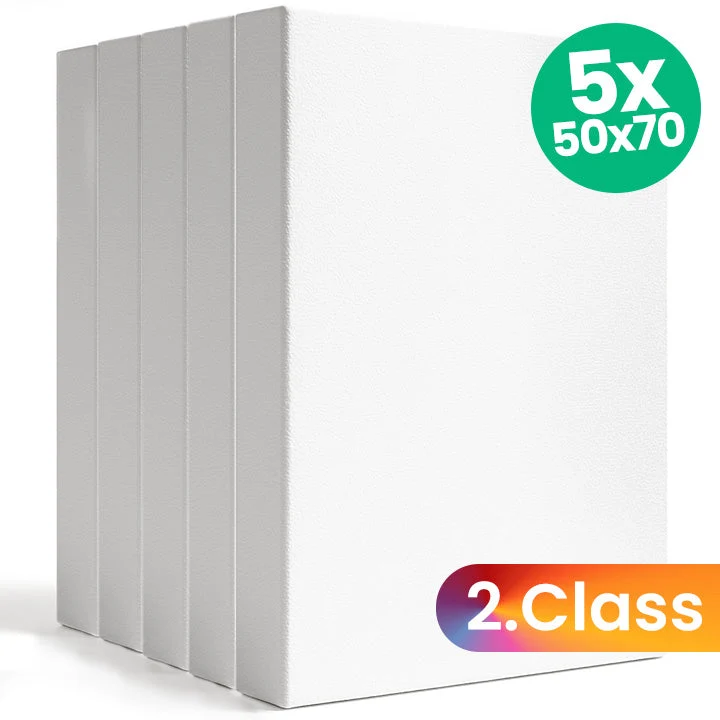 Set of 5 3D Canvases - 2nd Quality - 50x70 cm