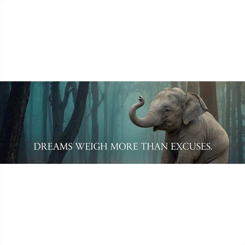Poster Dreams weigh more than excuses Panorama