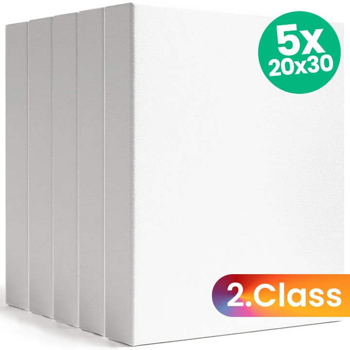 Set of 5 3D Stretched Canvases, 2nd Quality, 20x30 cm