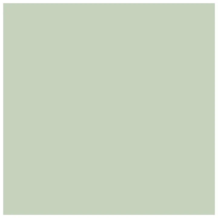 Pentart Chalky Decorative Chalk Paint 500 ml
