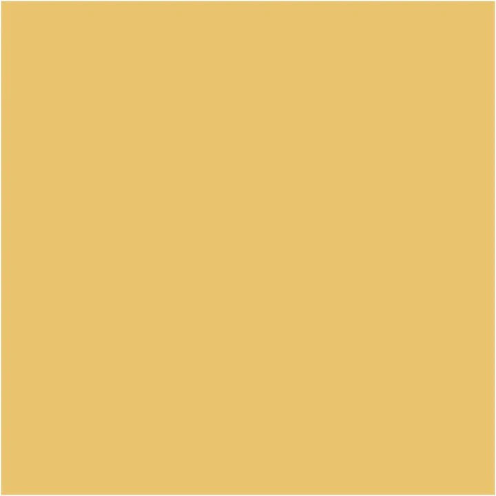 Pentart Chalky Decorative Chalk Paint, 100 ml