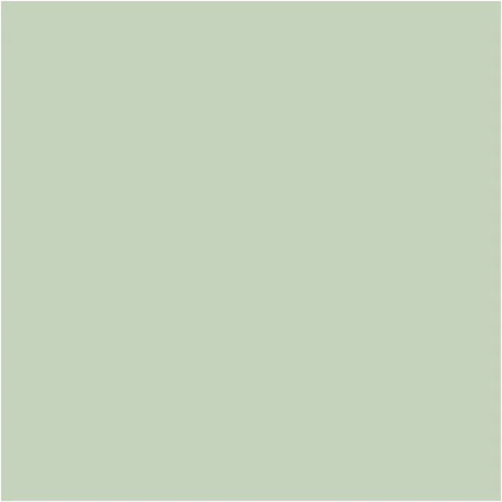 Pentart Chalky Decorative Chalk Paint, 100 ml