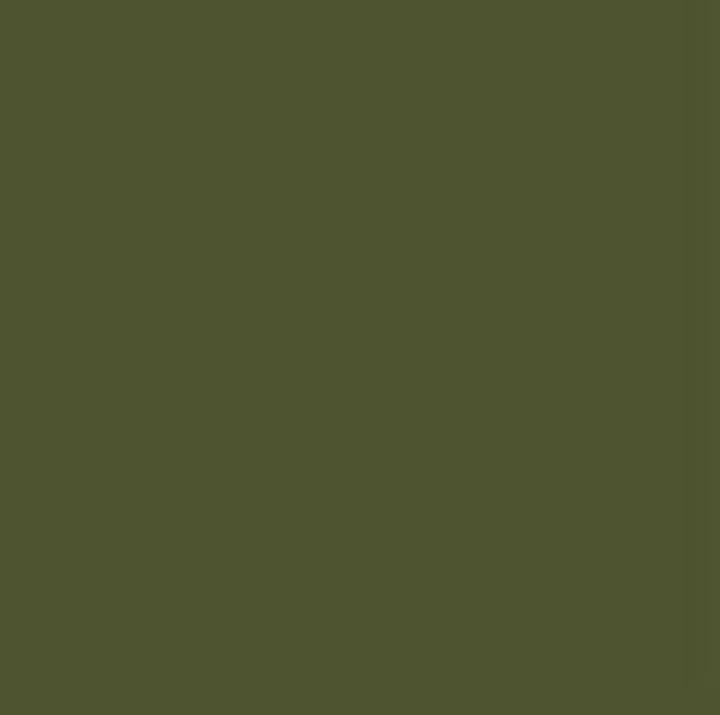 Pentart Chalky Decorative Chalk Paint, 100 ml