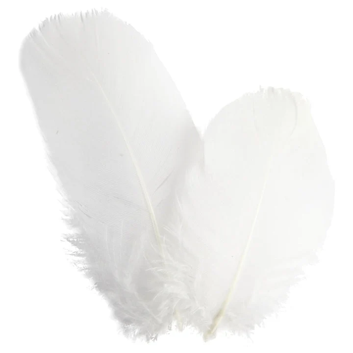 Decorative Feathers 3 g