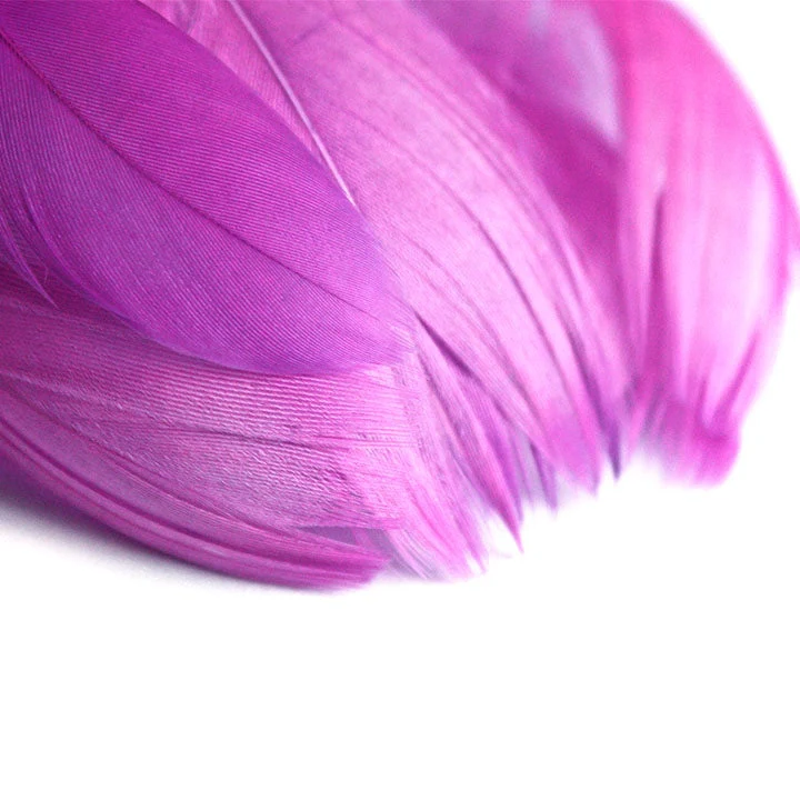 Decorative Feathers 190 pcs