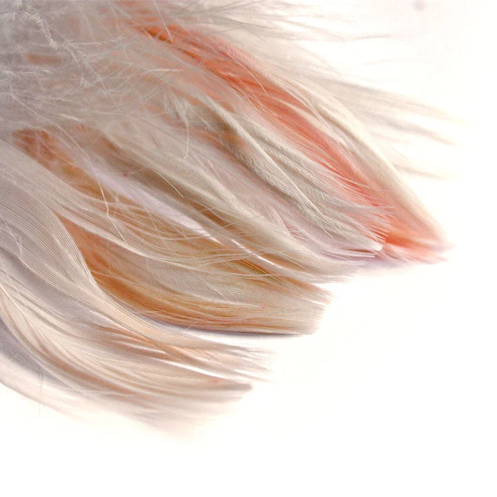 Decorative Feathers 190 pcs