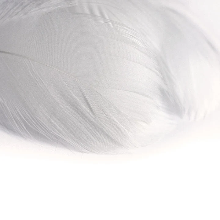 Decorative Feathers 190 pcs